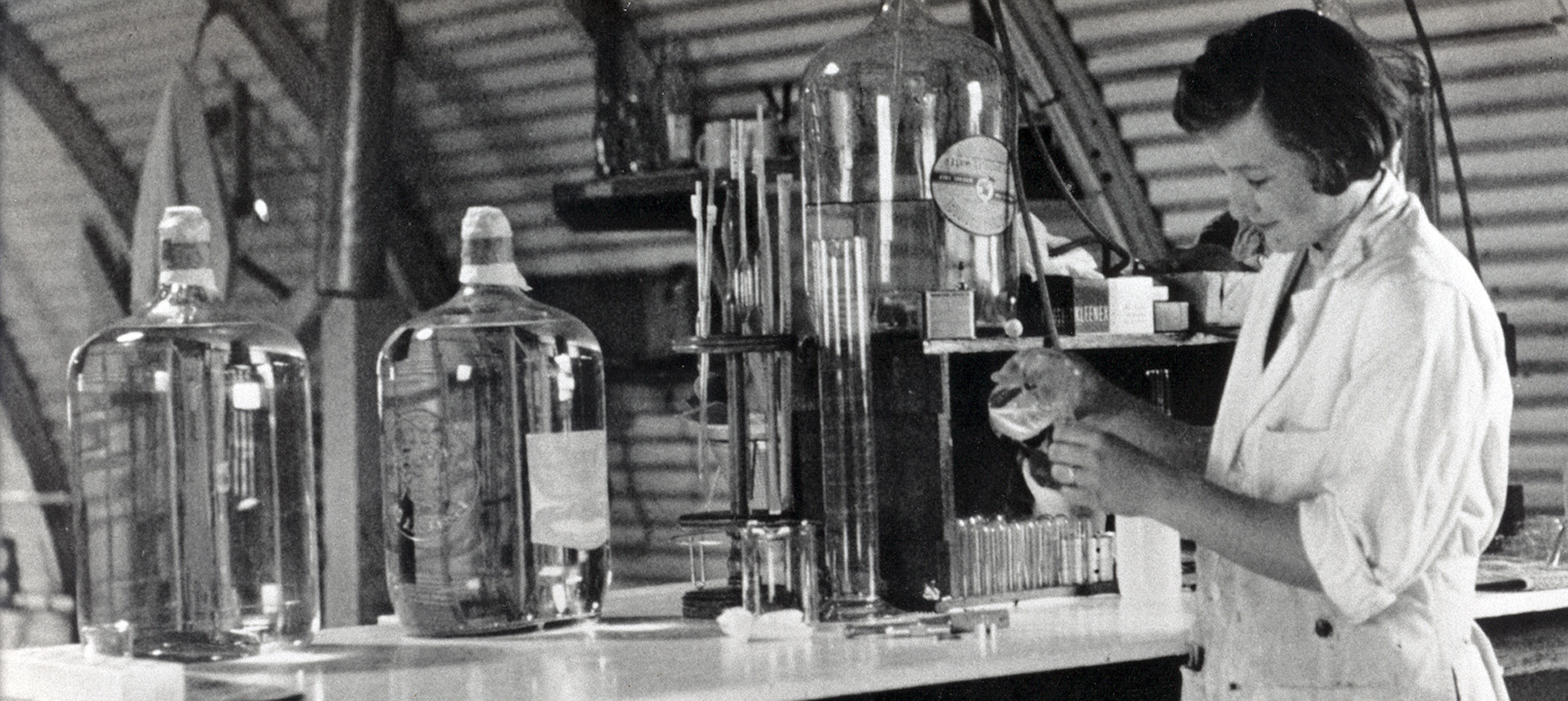 Alice Schwartz working in a laboratory